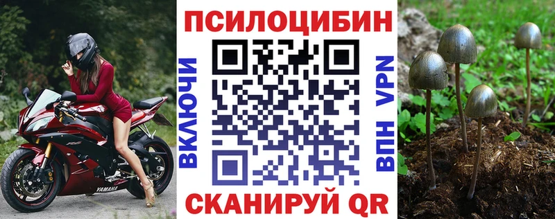 Галлюциногенные грибы GOLDEN TEACHER  Ростов-на-Дону 